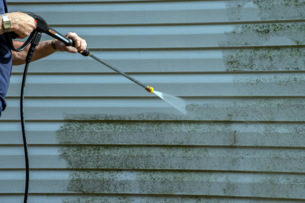 Best Solar Panel Cleaning  in South Taft, CA